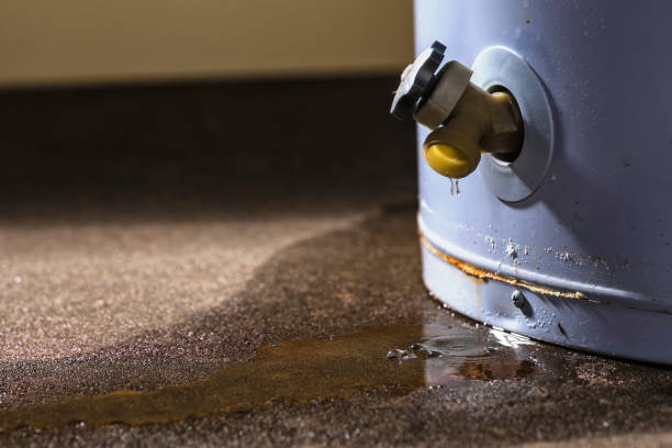 Best Flood damage cleanup  in Olmsted Falls, OH