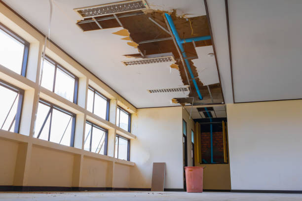 Best Mold removal after water damage  in Olmsted Falls, OH