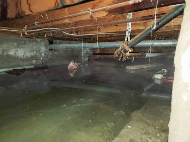 Reliable Olmsted Falls, OH Water damage restoration Solutions