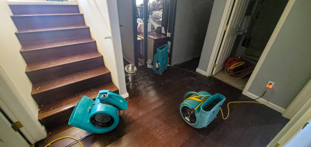 Best Residential water damage restoration  in Olmsted Falls, OH