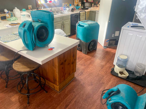 Best 24/7 water damage repair  in Olmsted Falls, OH