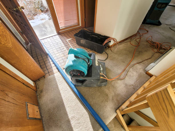 Best Flood restoration services  in Olmsted Falls, OH