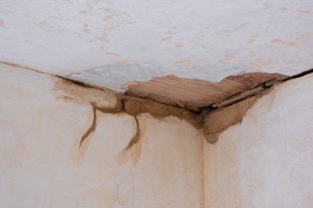 Best Water damage restoration near me  in Olmsted Falls, OH