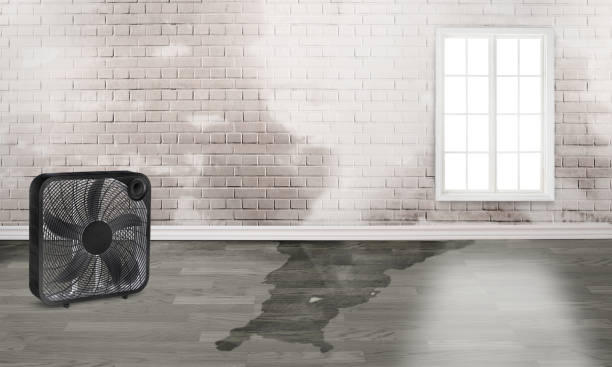 Best 24-hour water damage restoration  in Olmsted Falls, OH