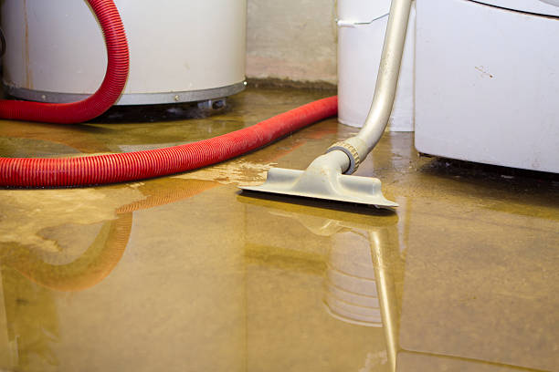 Best Basement water damage restoration  in Olmsted Falls, OH
