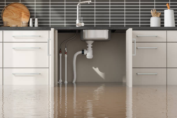 Best Water damage restoration services  in Olmsted Falls, OH