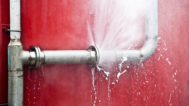 Best Water damage repair service  in Olmsted Falls, OH